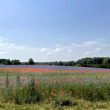 Fleesensee شقة *
